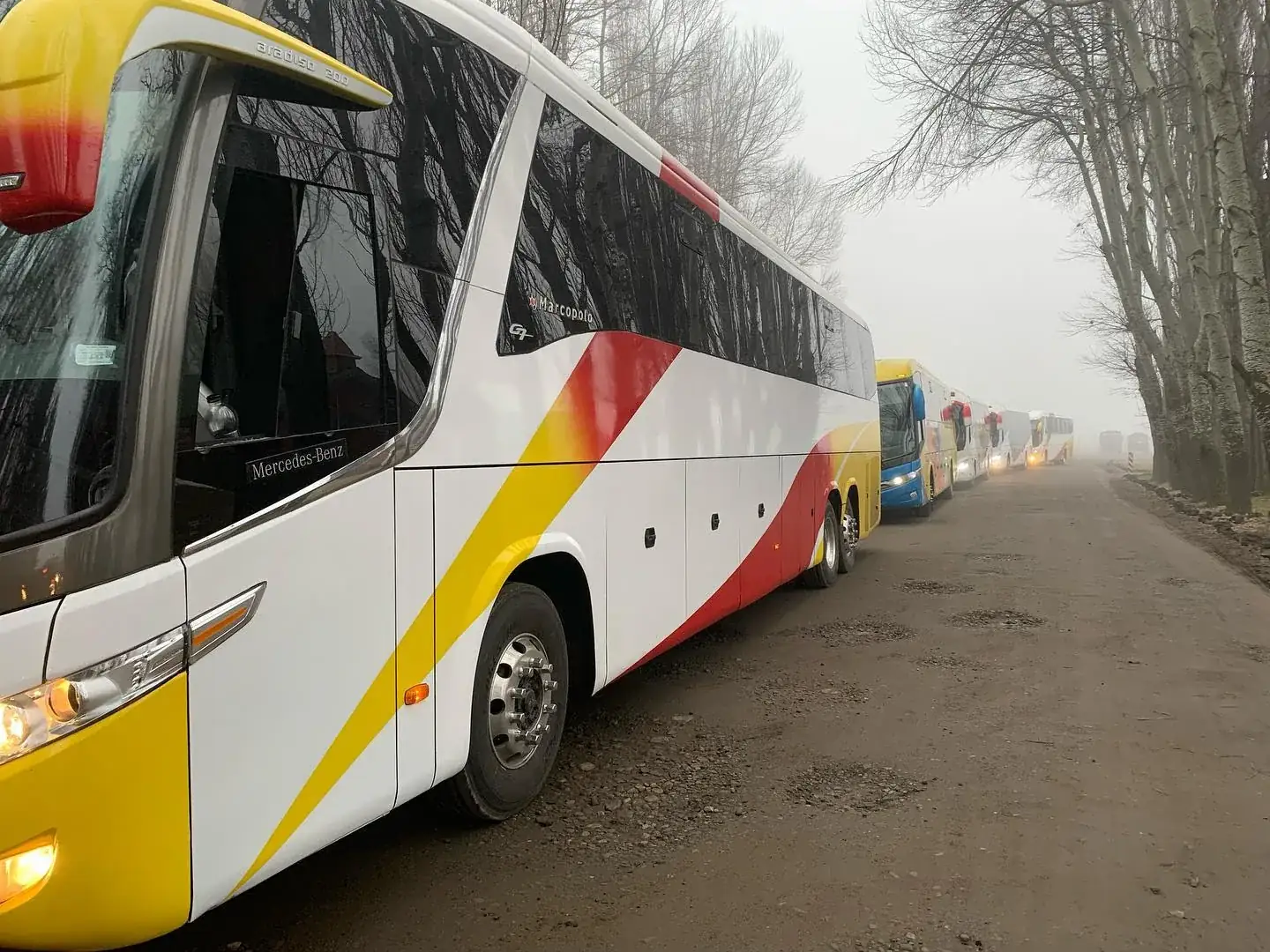 Convoy de buses Mercedes en niebla