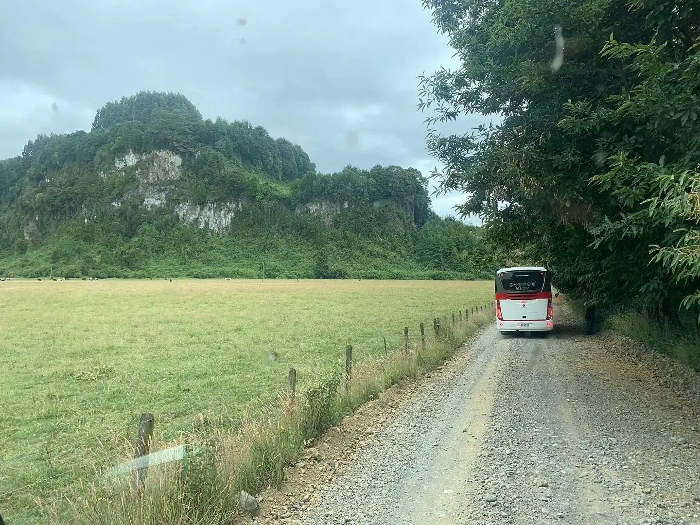 Bus en sur de Chile camino verde