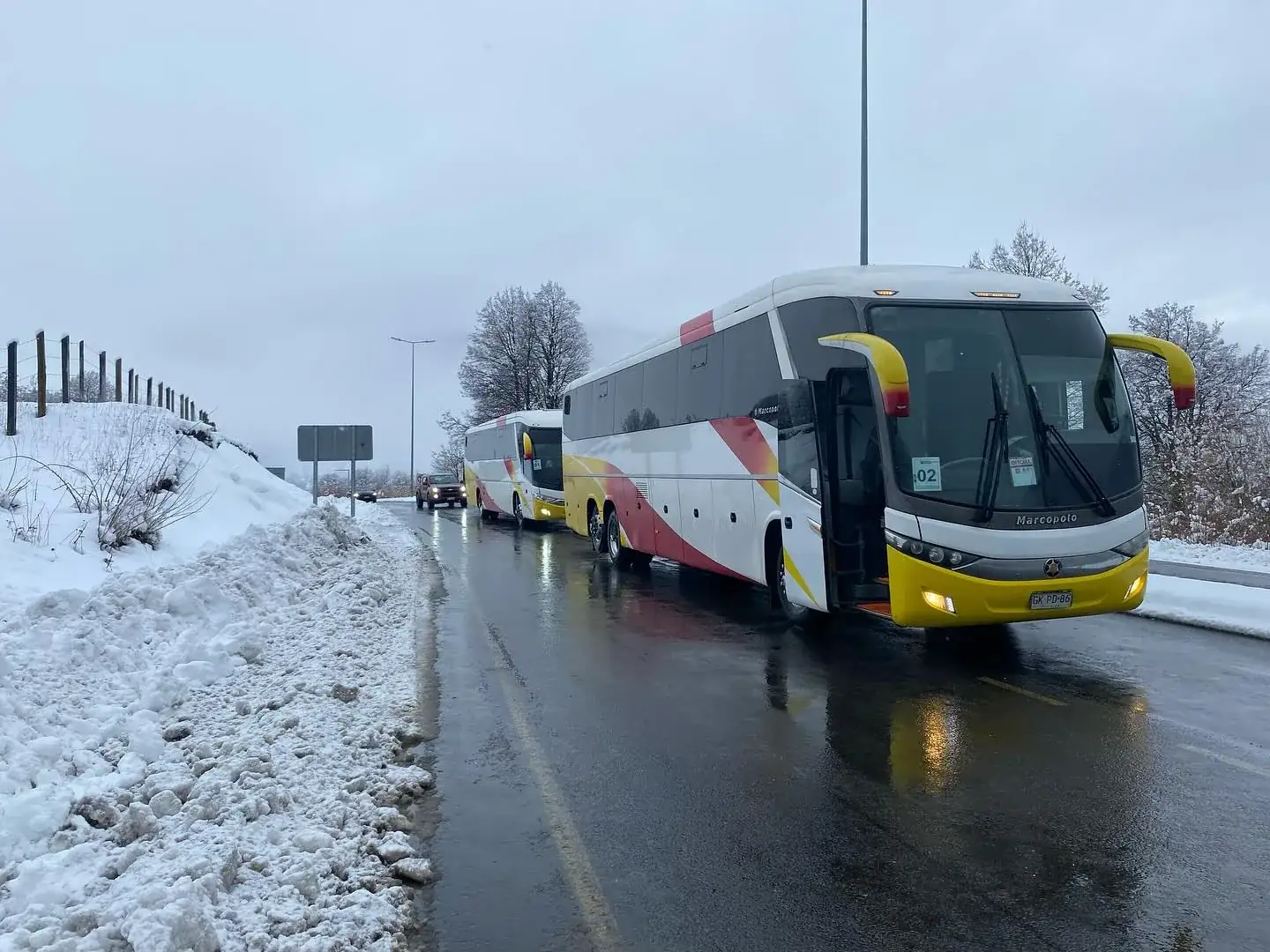Bus para 46 pasajeros